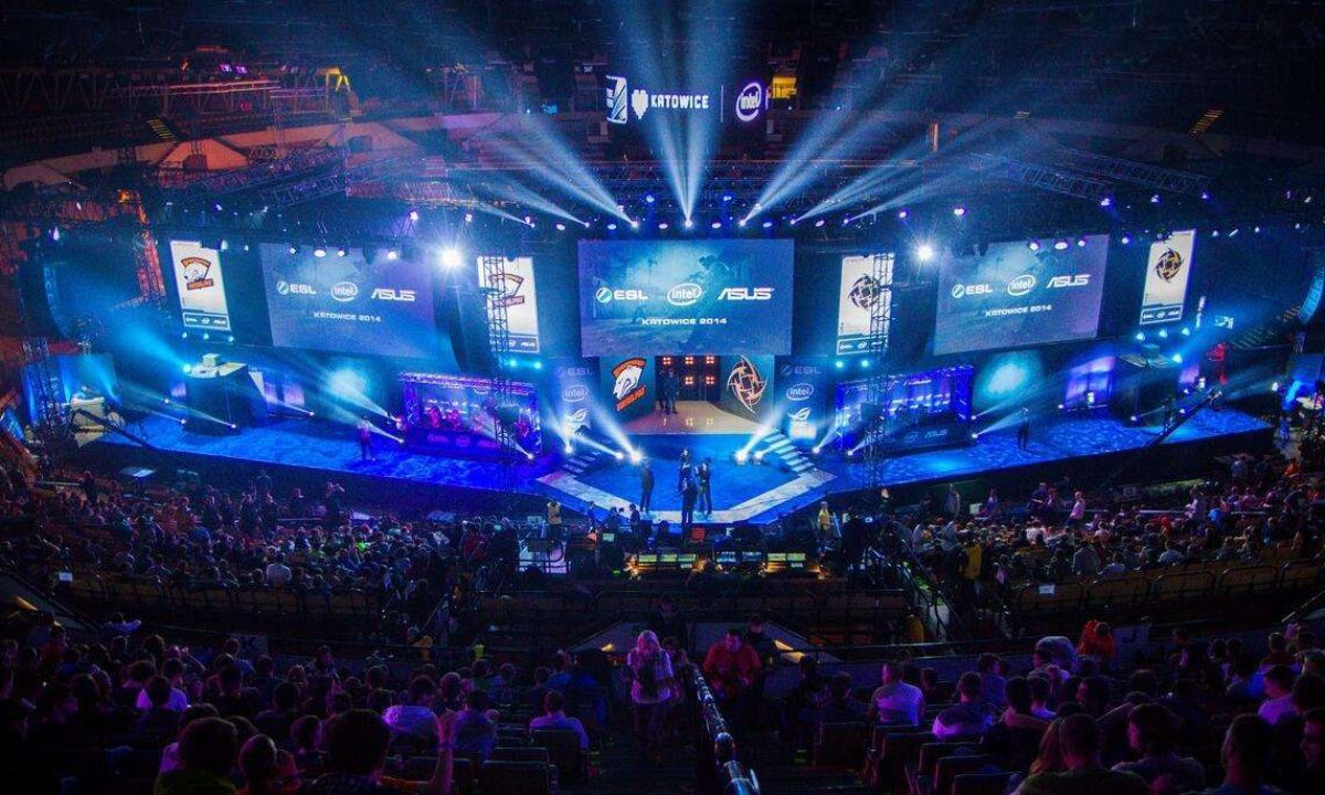 他们一直培 他们一直培