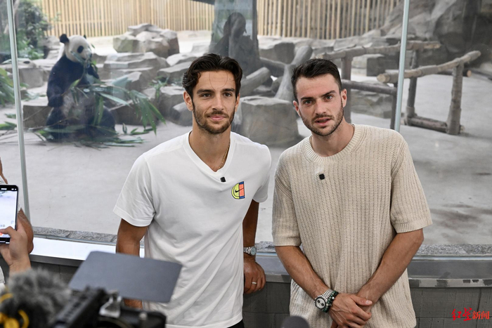 的世界杯梦 的世界杯梦