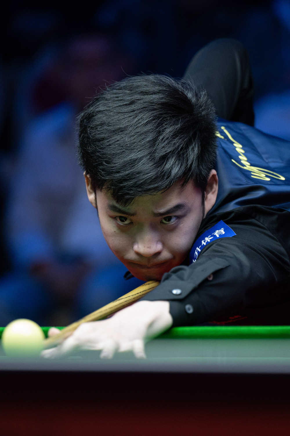 这篇文章的 这篇文章的